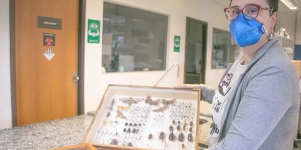 A pesquisadora atua no Departamento de Biologia Estrutural, Molecular e Genética da UEPG e, em 2021, assumiu como editora chefe da EntomoBrasilis.
