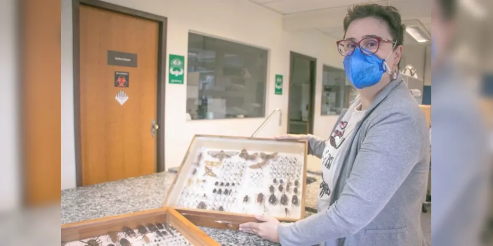 A pesquisadora atua no Departamento de Biologia Estrutural, Molecular e Genética da UEPG e, em 2021, assumiu como editora chefe da EntomoBrasilis.