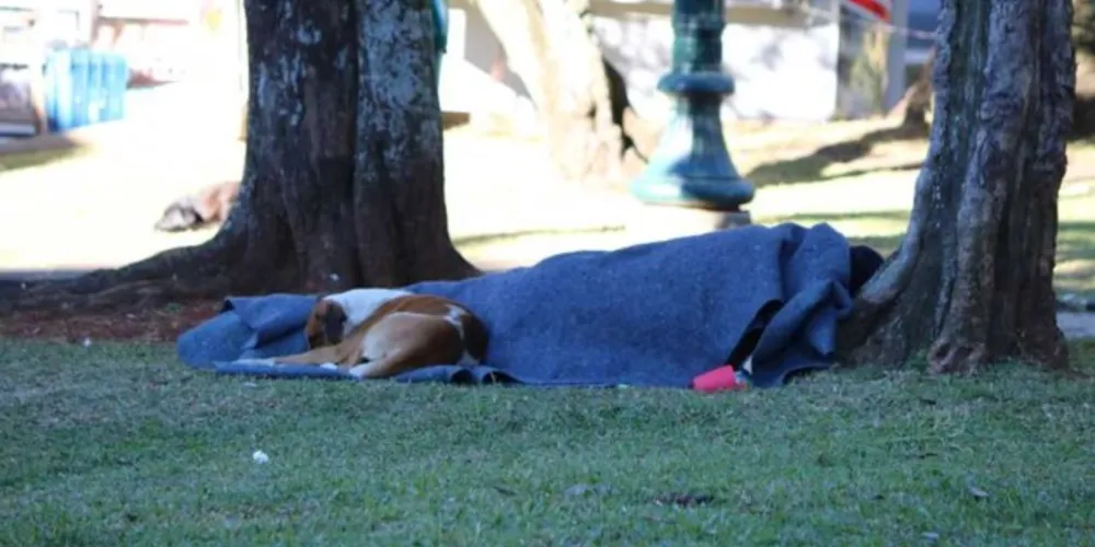 Medidas adotadas pela prefeitura visam proteger pessoas mais vulneráveis, em especial os moradores de rua