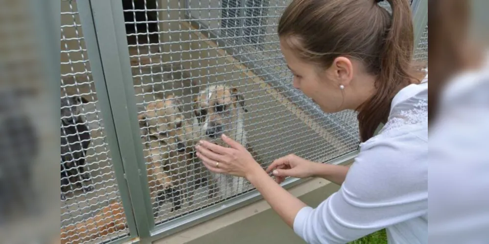 CRAR abre cadastro para castração de animais