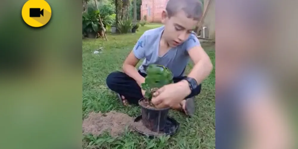 Imagem ilustrativa da imagem Projeto em Guamiranga prioriza ações de combate à dengue