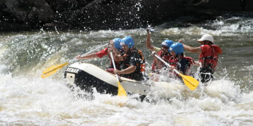 Evento ocorrerá no mês de agosto deste ano, no Centro de Exposições do Shopping Palladium, em Ponta Grossa