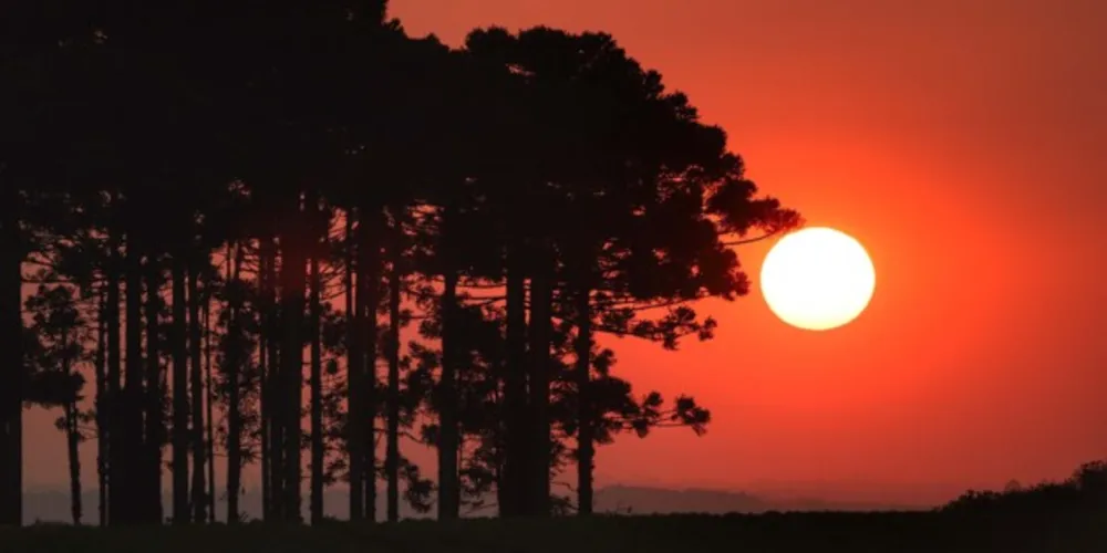 A iniciativa tem como propósito avaliar como as mudanças climáticas afetarão a população do  Paraná, por meio de uma investigação abrangente sobre componentes ambientais, econômicos e sociais.