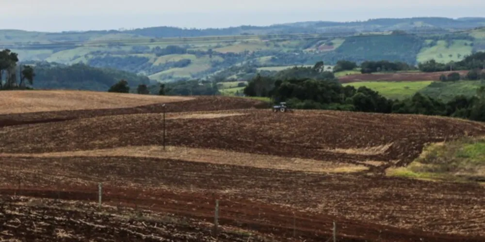Objetivo é limitar a sobrevivência do fungo causador da ferrugem asiática durante a entressafra