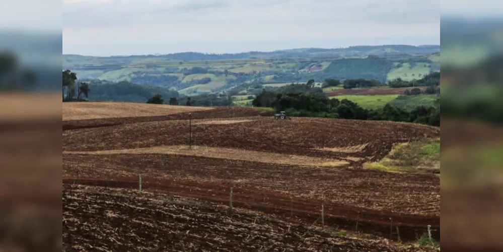 Objetivo é limitar a sobrevivência do fungo causador da ferrugem asiática durante a entressafra