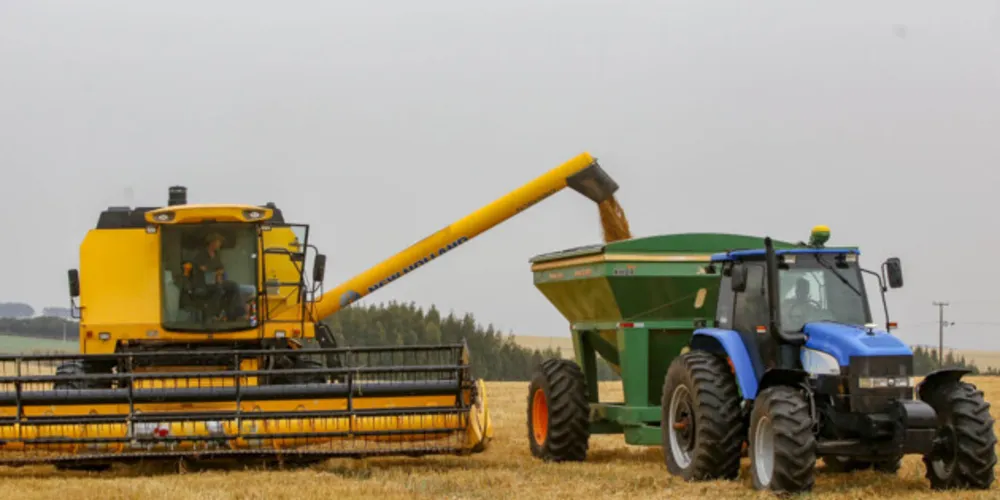 Produtos da agricultura, de modo geral, tiveram alta nos preços