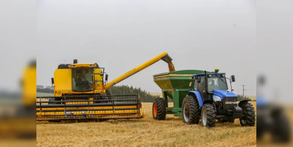 Produtos da agricultura, de modo geral, tiveram alta nos preços