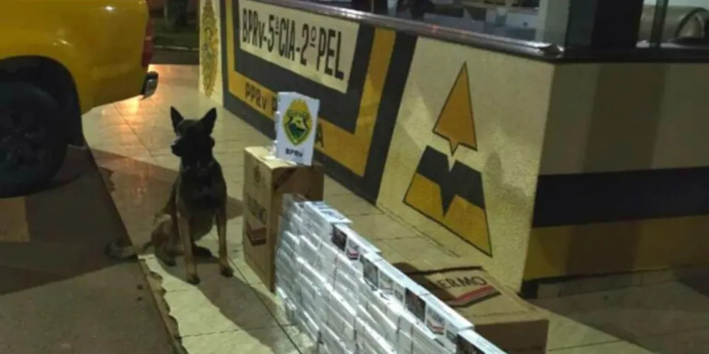 O reforço operacional aconteceu em todo o Estado e levou mais segurança para a população durante o 'feriadão'