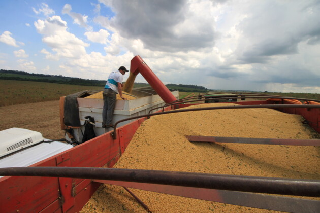 Embora a colheita de soja não tenha sido grande no Sul do País neste ano, a segunda safra de milho deverá compensar a quebra