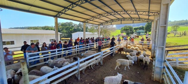 'Dia de Campo' reuniu mais de 40 produtores na última semana, com apoio da Coopegera