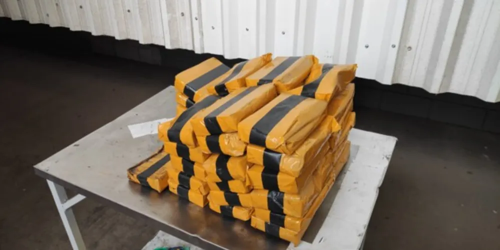 Substância foi apreendida nesta segunda-feira em um contêiner