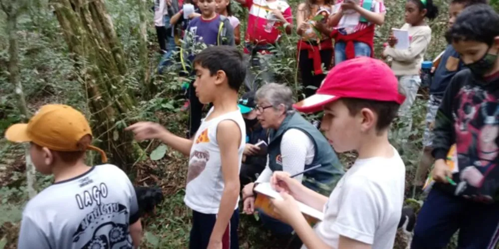 Várias ações proporcionaram um conhecimento significativo sobre questões ambientais