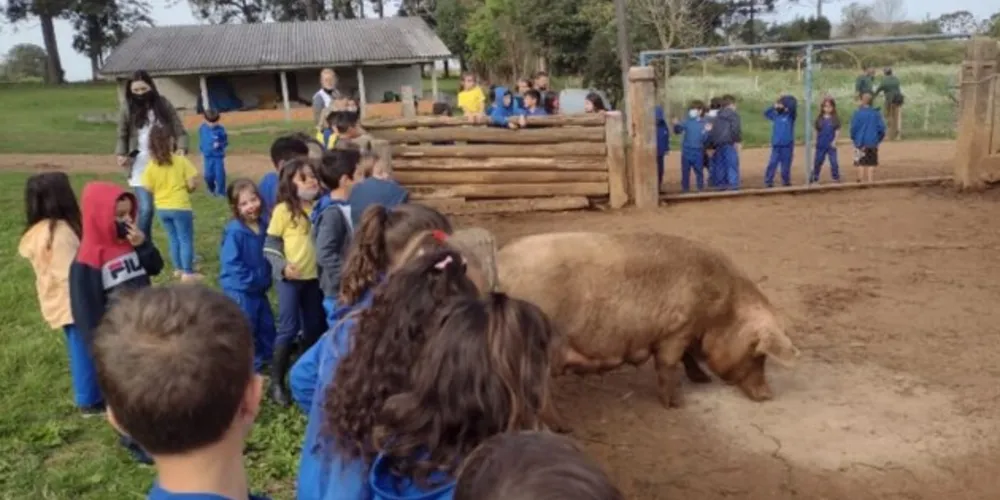 Crianças puderam adquirir conhecimento de várias coisas que saem de um local como este