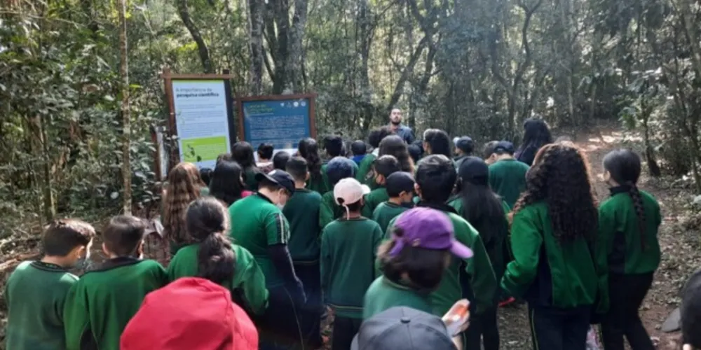 Alunos se mostraram participativos, animados e sensibilizados com temáticas ambientais