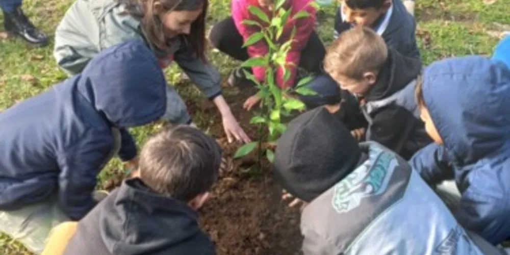 Alunos atuaram na prática ao realizar um plantio de árvore