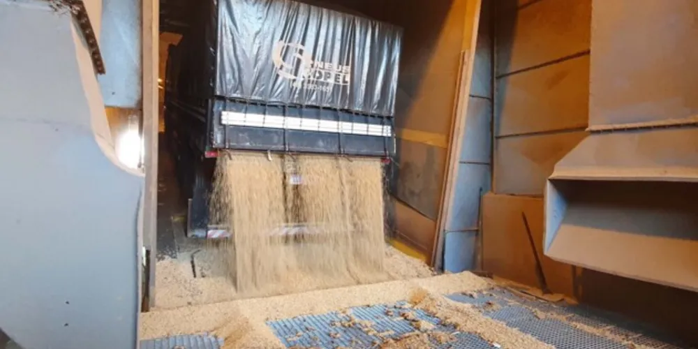 A soja e seus derivados representaram quase 80% de tudo o foi vendido a outros países neste ano