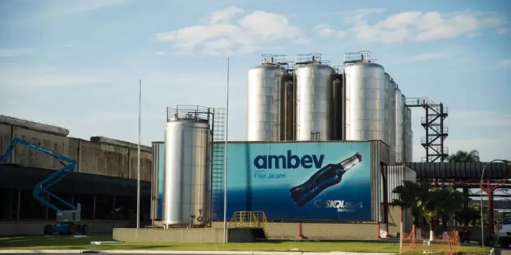 Programa de Trainee e Estágio Regular e Representa já está com as inscrições abertas