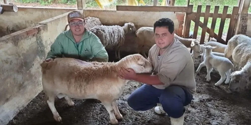 Parceria junto à Cooperativa dos Produtores de Ovinos e Caprinos dos Campos Gerais (Coopegera) viabiliza atividades