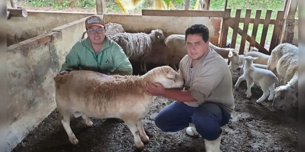 Parceria junto à Cooperativa dos Produtores de Ovinos e Caprinos dos Campos Gerais (Coopegera) viabiliza atividades