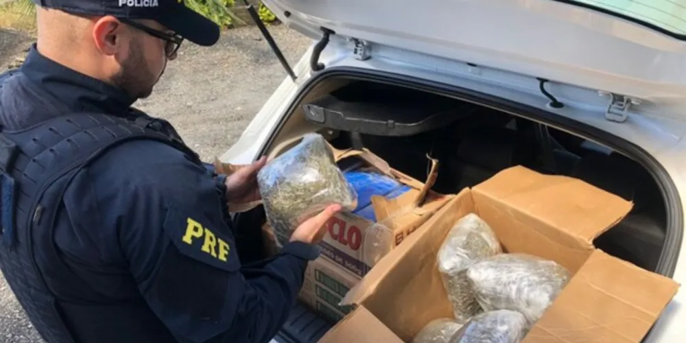 Entorpecentes foram encontrados em porta-malas de veículo