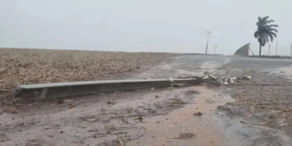 Levantamento da Copel informou que, até o final desta manhã, os principais estragos atingiram áreas rurais e rodovias do Estado
