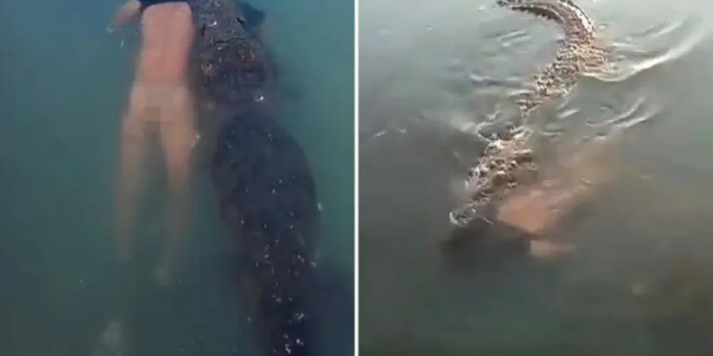 Jovem não teria prestado atenção às placas de perigo com aviso sobre ataques dos animais