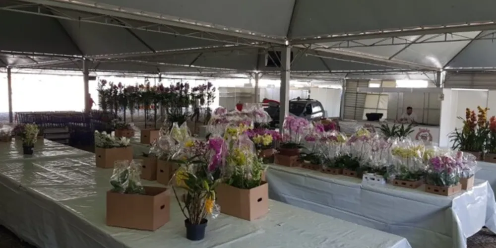 Evento terá a exposição de diversas flores, plantas ornamentais e frutíferas