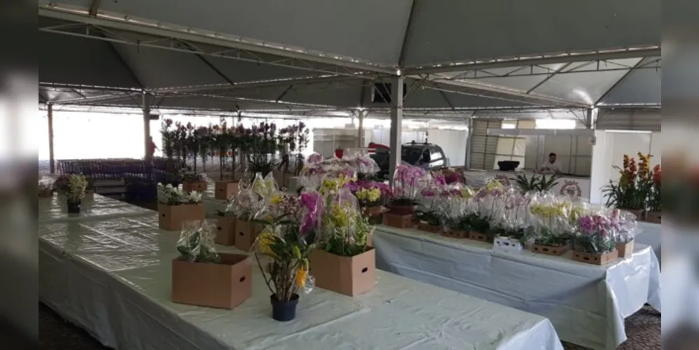 Evento terá a exposição de diversas flores, plantas ornamentais e frutíferas