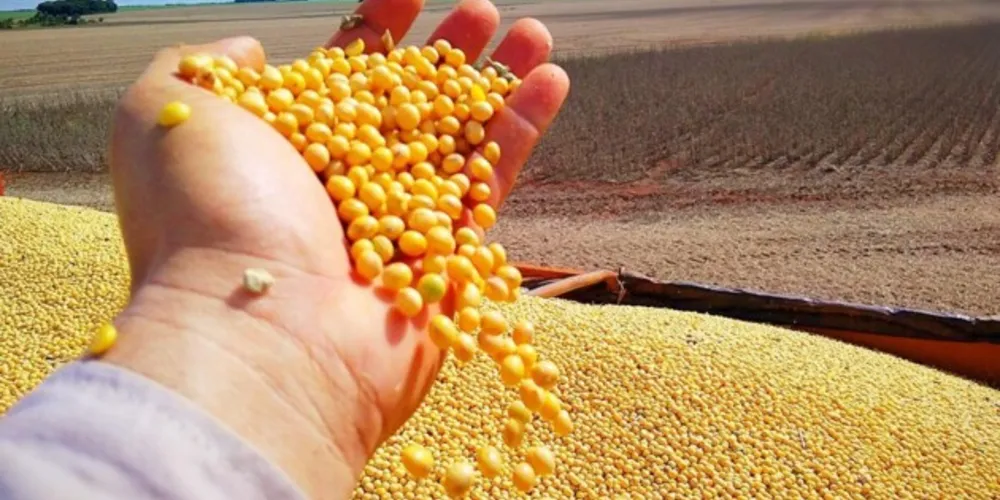 O crescimento é impulsionado pela recuperação da produtividade do milho