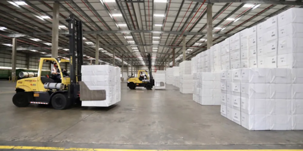 A soja com seus derivados e a celulose estão entre os produtos mais exportados pela região