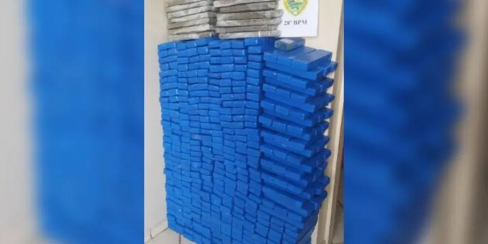 Ação policial ocorreu na manhã desta segunda-feira (1º), no município de Palmeira