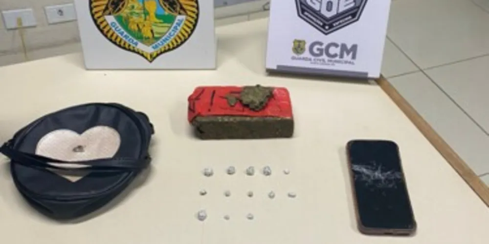 Guarda Municipal foi chamada após receber a denúncia de um morador que passava pelo local