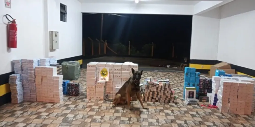 Além da droga, operação da Polícia Rodoviária Estadual apreendeu produtos contrabandeados do Paraguai