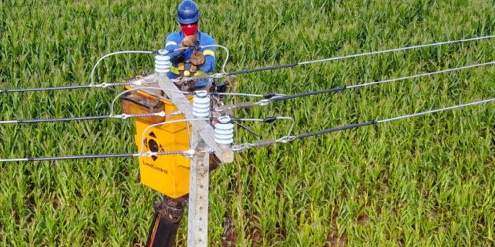 No total, serão 25 mil quilômetros de novas redes a serem implantadas