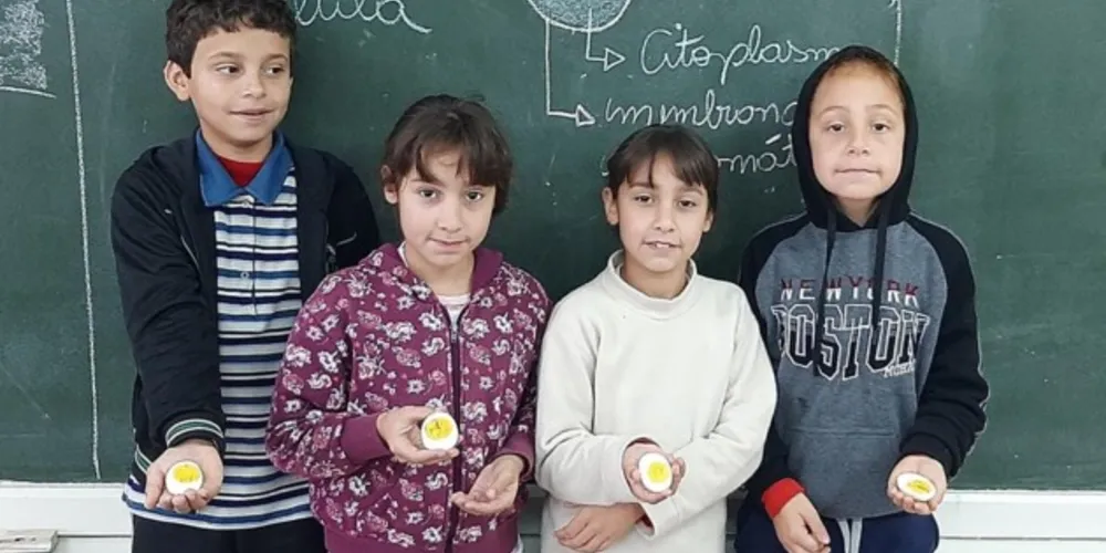 Compreensão da temática foi ampliada com recursos práticos