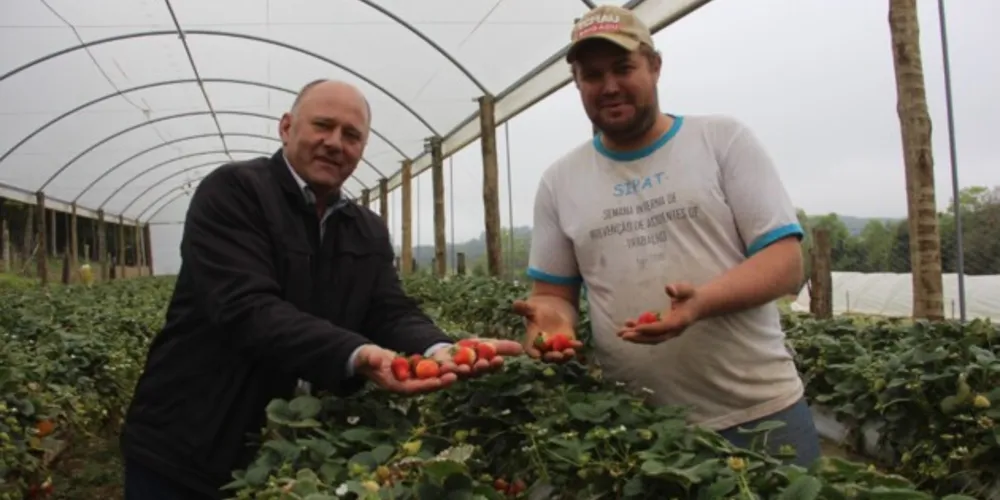 Programa conta com a parceria da Secretaria da Agricultura e do Abastecimento (SEAB) e o Instituto Paranaense de Desenvolvimento Rural (IDR/IAPAR)