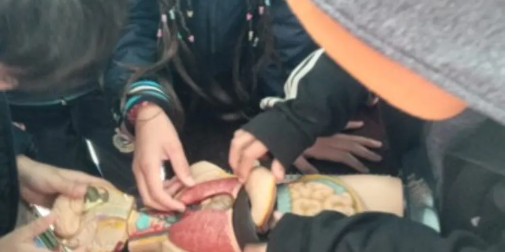 Utilização prática dos recursos permitiram melhor compreensão acerca da temática