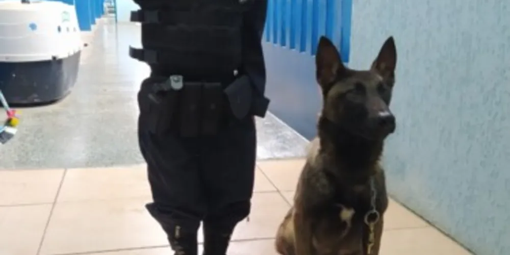 Moisés foi surpreendido durante seu aniversário de 06 anos pela visita de equipes da Guarda à escola durante o período da manhã