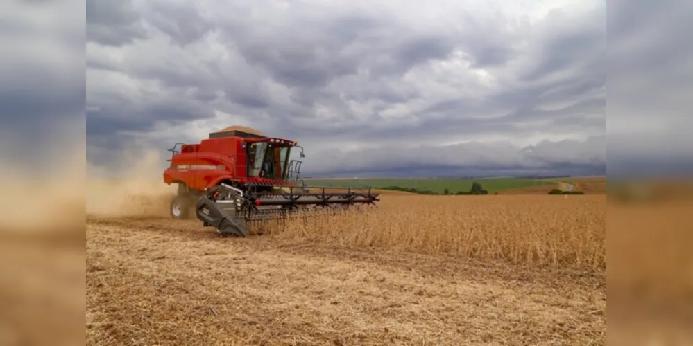 Nas regiões produtoras do Rio Grande do Sul, Santa Catarina e Paraná, a produção projetada para a soja no próximo ciclo é de 66,48 milhões de toneladas