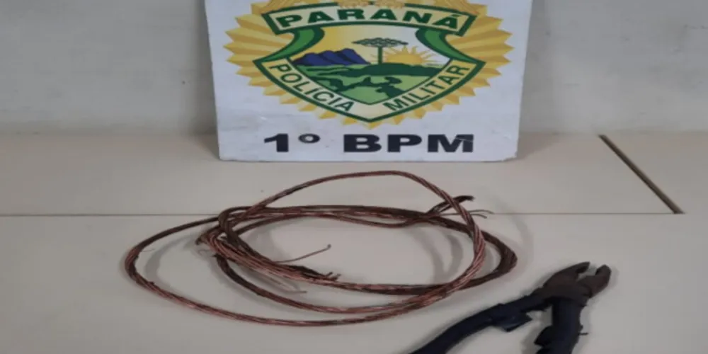 Com o homem, a Polícia encontrou quase 350 gramas de fios e também um alicate