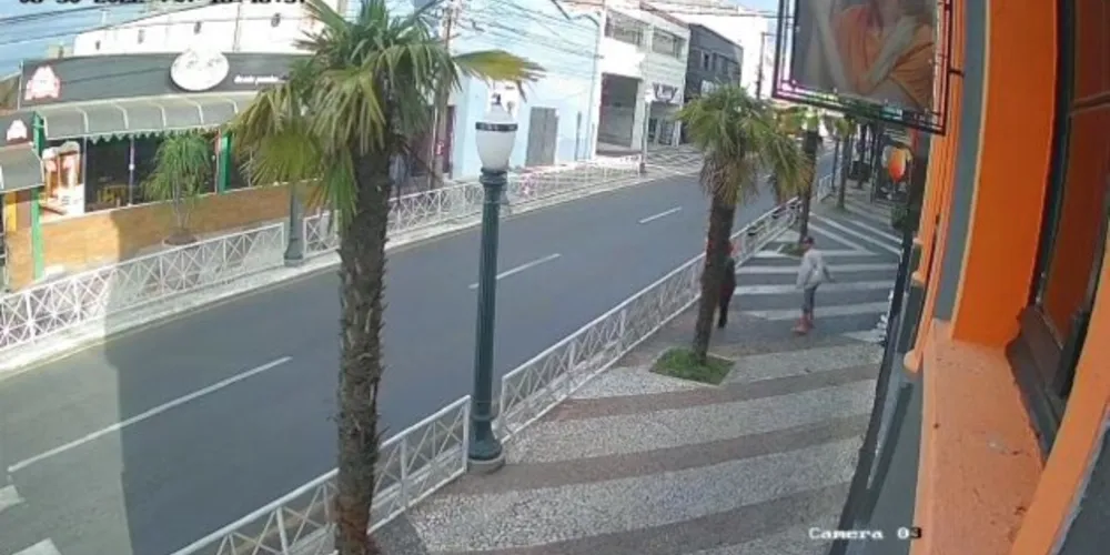 Vândalos ateiam fogo em árvore da avenida München, em plena luz do dia, nesta terça-feira