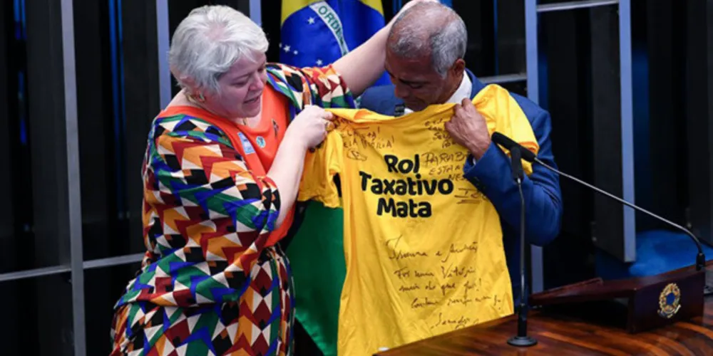 O projeto foi relatado pelo senador Romário (RJ) e votado nesta segunda-feira (29)