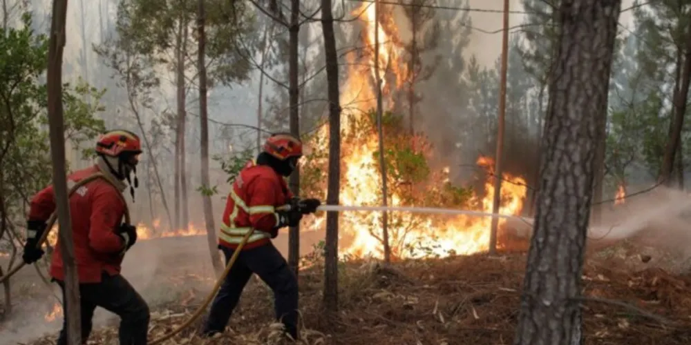 Incidência de queimadas aumenta em agosto
