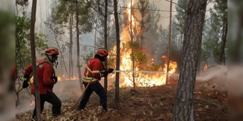 Incidência de queimadas aumenta em agosto