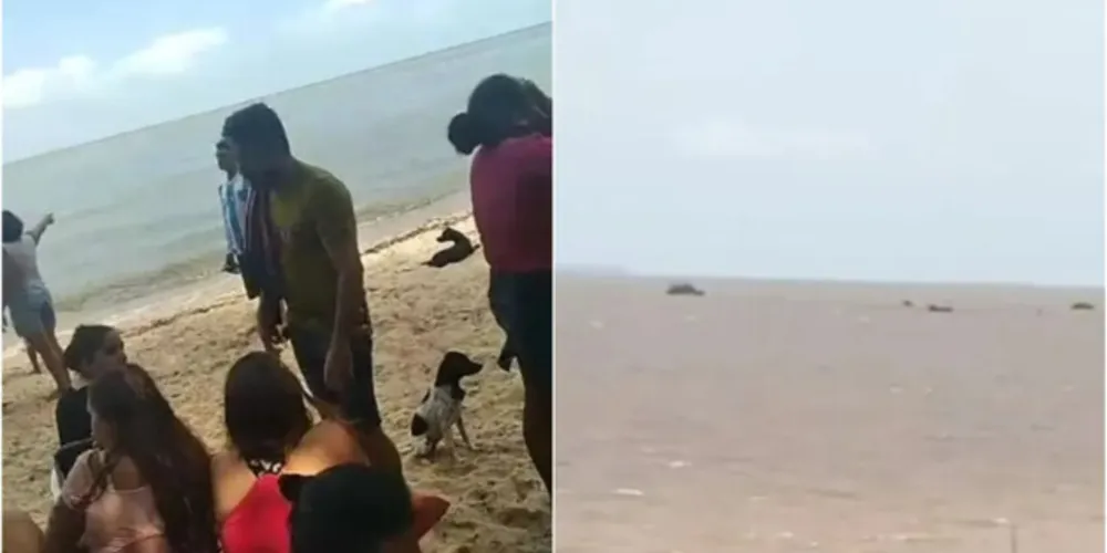 Entre as vítimas, há dez mulheres, dois homens e uma criança