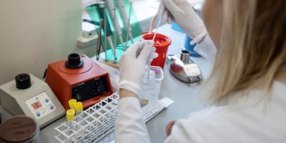 O boletim foi divulgado na tarde de hoje (12).