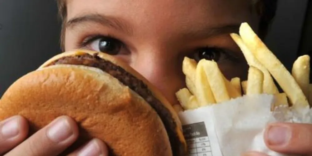 Alimentos ultraprocessados podem contribuir para perda cognitiva