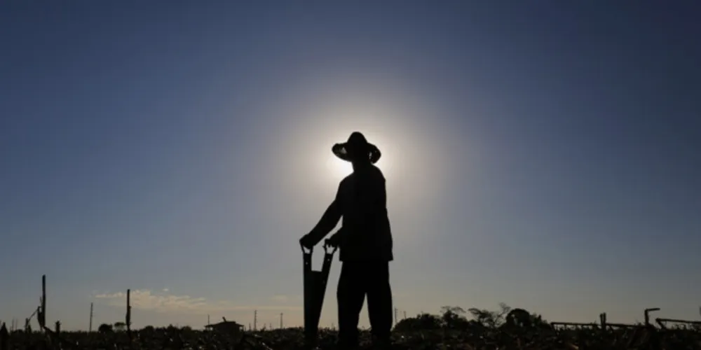 A ferramenta pode ser utilizada por agricultores e pessoas físicas, que comercializam produtos hortifrutícolas