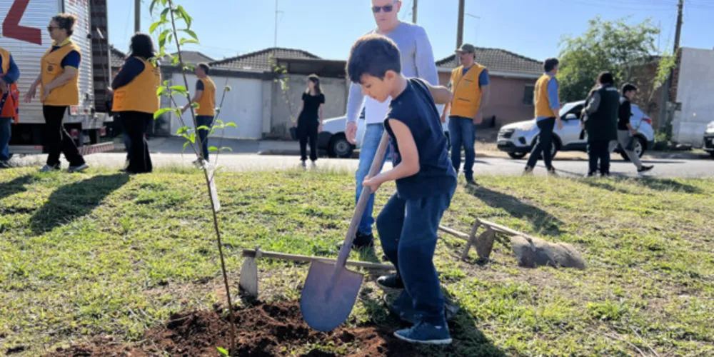 Clube realizou o plantio de árvores frutíferas na cidade; público também pode participar