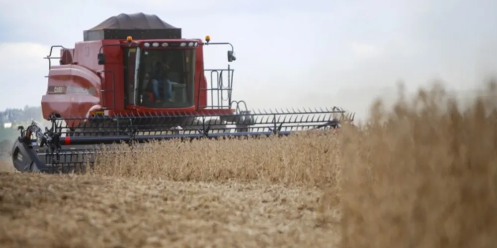 Somadas, as reduções de faturamento da soja e da pecuária resultam em um decréscimo na casa de R$ 64 bilhões, a preços de 2022